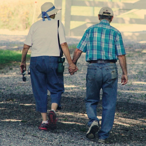 Read more about the article Slow Goodbye – Tender Touch