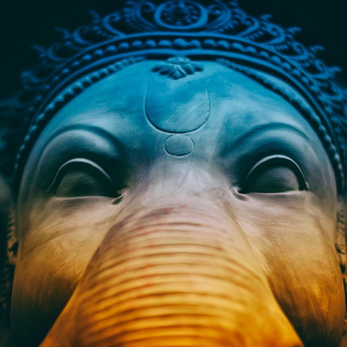 Read more about the article UK needs apathy like elephants need power stations – Political