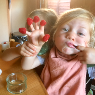 Read more about the article Toddler Teamwork and What it could Teach Politicians (video)